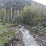 CIMG4545