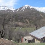 IMG_0212
