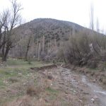 IMG_0267