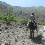 Khatreh2
