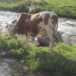 Khatreh5