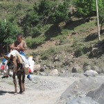 Khatreh7