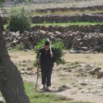 IMG_00777