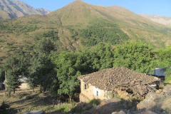 img_0114-Copy