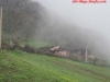 thumbs_108