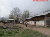 thumbs_13