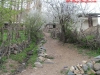 thumbs_19