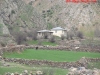 thumbs_21