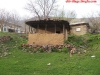 thumbs_36