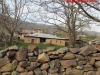 thumbs_38