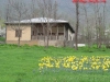 thumbs_43