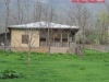 thumbs_45