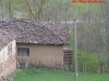 thumbs_46