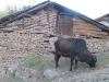 thumbs_img_0082