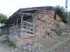 thumbs_img_0084