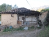 thumbs_img_0085