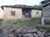 thumbs_img_0089