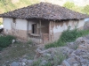 thumbs_img_0092