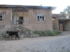 thumbs_img_0103