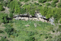 dsc00318