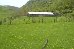 dsc00620_0