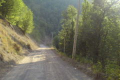dsc01248_0