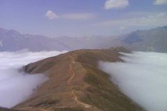 rajeh